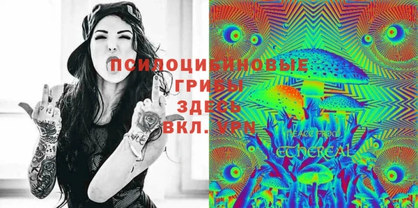 стаф Алексеевка