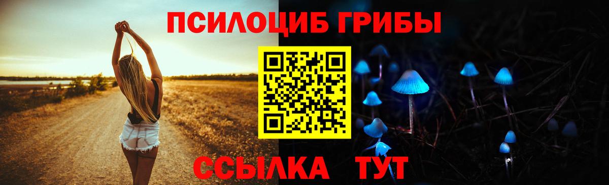Сосновоборск  Галлюциногенные грибы GOLDEN TEACHER  Вход с VPN 